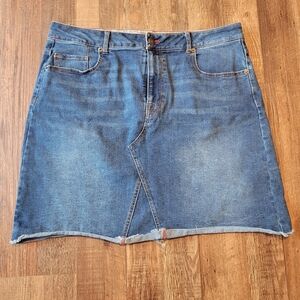 Frye & Co Distressed Hemline Denim Mini Skirt
